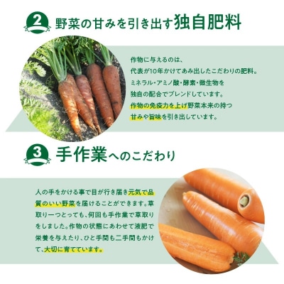【期間・数量限定】(お試し)訳あり!こどもも食べられる甘みマドンナキャロット1kg H105-175