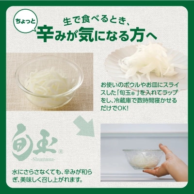 【お試し】新玉ねぎ 生がおいしい 神重農産のブランド玉ねぎ「旬玉」3kg　H105-174