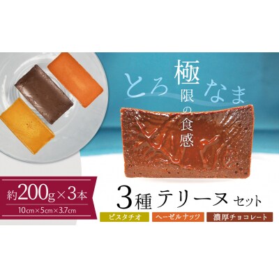 (約200g)ピスタチオ・ヘーゼルナッツ・濃厚チョコの3種のテリーヌセット　H173-051