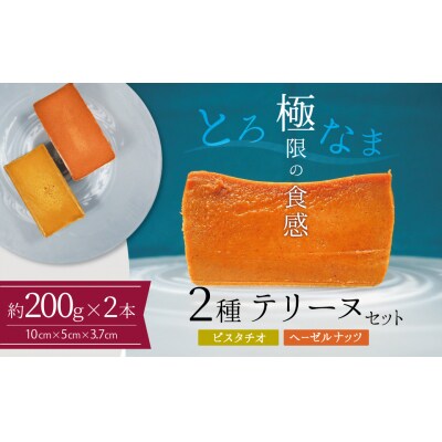 【テリーヌ専門店L】(約200g)ピスタチオ・ヘーゼルナッツの2種のテリーヌセット　H173-052