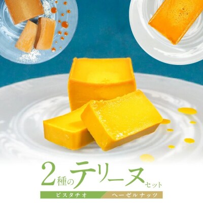 【テリーヌ専門店L】(約200g)ピスタチオ・ヘーゼルナッツの2種のテリーヌセット　H173-061