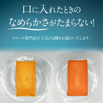 【テリーヌ専門店L】(約200g)ピスタチオ・ヘーゼルナッツの2種のテリーヌセット　H173-052