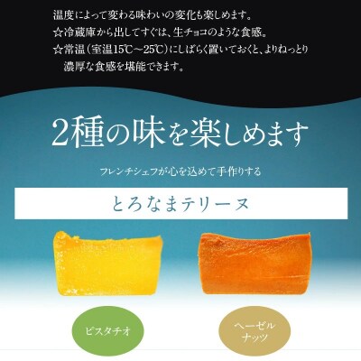 【テリーヌ専門店L】(約200g)ピスタチオ・ヘーゼルナッツの2種のテリーヌセット　H173-061