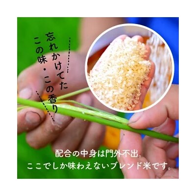 【お米マイスター】ほっ懐かし米　定期便(5kg×6回) こだわりのブレンド米 H056-163