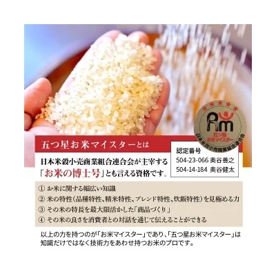 【お米マイスター】ほっ懐かし米　定期便(5kg×6回) こだわりのブレンド米 H056-145