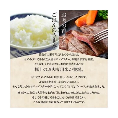 【五ツ星お米マイスター】 高級肉専用米「お肉とブルース」 白米 精米 5kg  H056-149