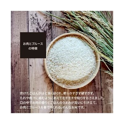 【五ツ星お米マイスター】 高級肉専用米「お肉とブルース」 白米 精米 5kg  H056-149