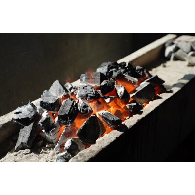 【備長炭で焼く“いい焦がし”】三河一色産うなぎの蒲焼8尾 鰻 冷凍 三河一色産 H189-015