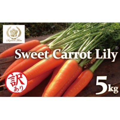 【期間限定】(訳あり)鈴盛農園の甘～いにんじん スウィートキャロットリリィ 5kg H022-019