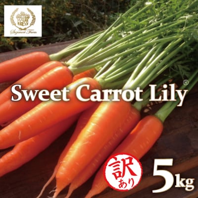 (3/15まで受付)訳あり鈴盛農園の甘いにんじんスウィートキャロットリリィ5kg H022-019