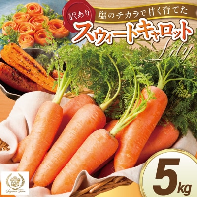 〈予約受付〉訳あり鈴盛農園の甘いにんじんスウィートキャロットリリィ5kg H022-019