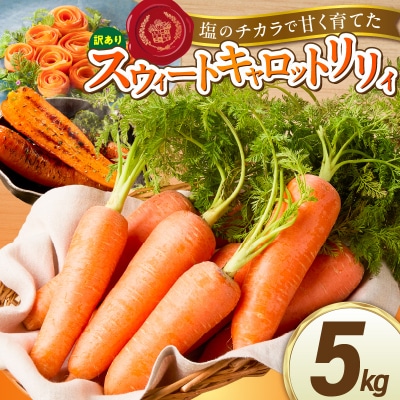〈予約受付〉訳あり鈴盛農園の甘いにんじんスウィートキャロットリリィ5kg H022-019
