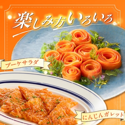 〈予約受付〉訳あり鈴盛農園の甘いにんじんスウィートキャロットリリィ5kg H022-019