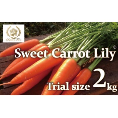 期間限定(お試し)鈴盛農園の甘～いにんじん スウィートキャロットリリィ 2kg H022-016