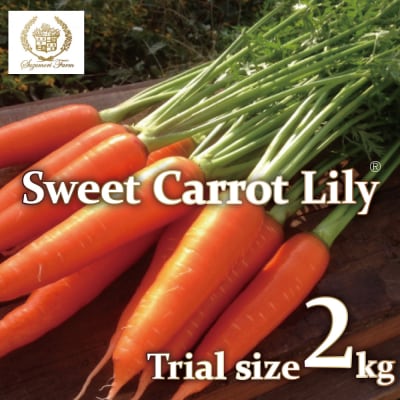 〈予約受付〉お試し 鈴盛農園の甘いにんじんスウィートキャロットリリィ2kg H022-016