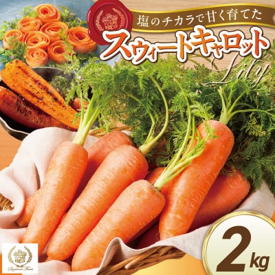 〈予約受付〉お試し 鈴盛農園の甘いにんじんスウィートキャロットリリィ2kg H022-016