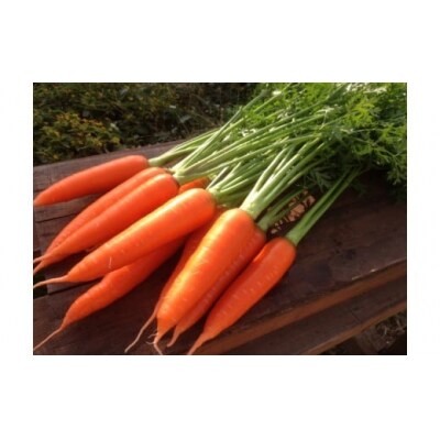 (3/15まで受付)お試し鈴盛農園の甘いにんじんスウィートキャロットリリィ2kg H022-016