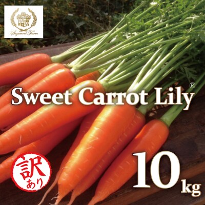 〈予約受付〉訳あり 鈴盛農園甘いにんじんスウィートキャロットリリィ10kg  H022-020