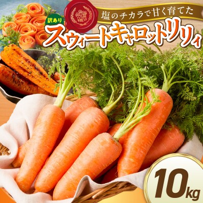 〈予約受付〉訳あり 鈴盛農園甘いにんじんスウィートキャロットリリィ10kg  H022-020