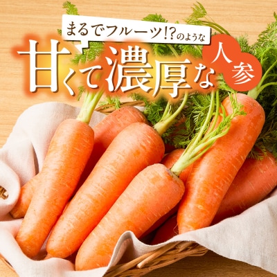 〈予約受付〉訳あり 鈴盛農園甘いにんじんスウィートキャロットリリィ10kg  H022-020