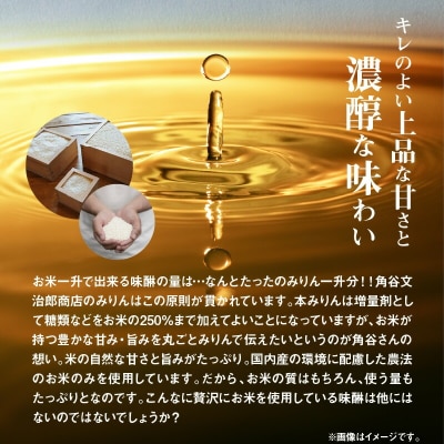 三州三河みりん 700ml×3本詰合せ H024-025