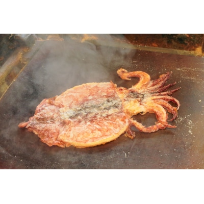 【お試し】 えびせん家族名物「冷凍 いかの姿焼き 3枚セット」 姿揚げ 高リピート H011-154