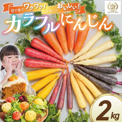〈予約受付〉【期間限定】(お試し) 虹色のカラフルにんじん 2kg 鈴盛農園   H022-015