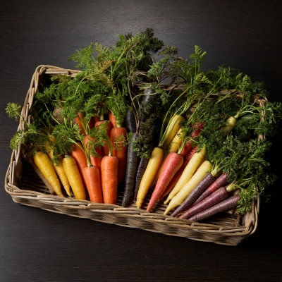 〈予約受付〉【期間限定】(お試し) 虹色のカラフルにんじん 2kg 鈴盛農園   H022-015