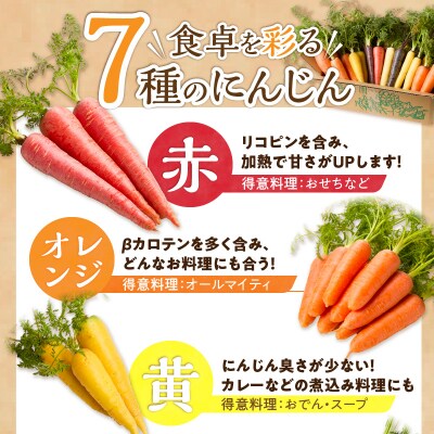 〈予約受付〉【期間限定】(お試し) 虹色のカラフルにんじん 2kg 鈴盛農園   H022-015