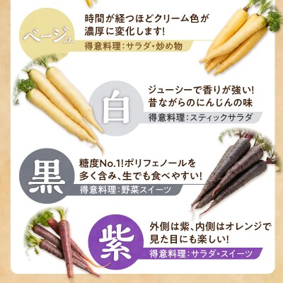 〈予約受付〉【期間限定】(お試し) 虹色のカラフルにんじん 2kg 鈴盛農園   H022-015