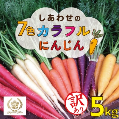 〈予約受付〉【期間限定】(訳あり)虹色のカラフルにんじん 5kg 鈴盛農園 農家直 H022-017