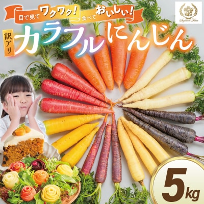 〈予約受付〉【期間限定】(訳あり)虹色のカラフルにんじん 5kg 鈴盛農園 農家直 H022-017