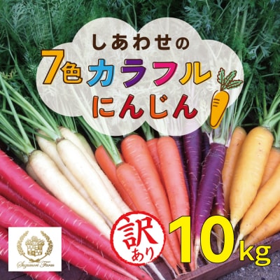 〈予約受付〉【期間限定】(訳あり) 虹色のカラフルにんじん 10kg 鈴盛農園  H022-018