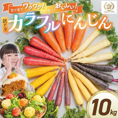 〈予約受付〉【期間限定】(訳あり) 虹色のカラフルにんじん 10kg 鈴盛農園  H022-018