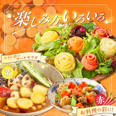 〈予約受付〉【期間限定】(訳あり) 虹色のカラフルにんじん 10kg 鈴盛農園  H022-018