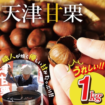 (9/30まで受付)この道50年の職人が焼くやさしい甘みたっぷり「天津甘栗」1kg H045-106