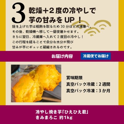 焼き芋 蜜たっぷり!冷やし焼き芋 ひえひえ君 きみまろこ 1kg(4～6袋)  H047-053