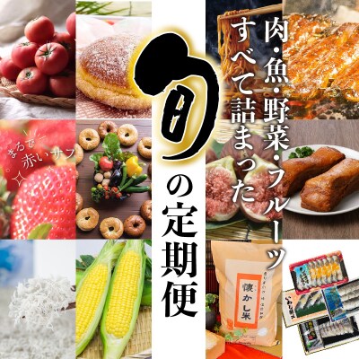 厳選定期便! 【全12回】肉・魚・野菜・フルーツすべて詰まった旬の定期便  H028-087