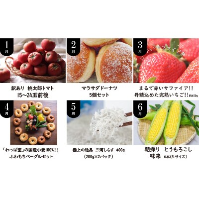 厳選定期便! 【全12回】肉・魚・野菜・フルーツすべて詰まった旬の定期便  H028-087