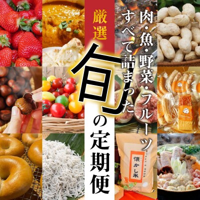 【全12回】厳選!肉・魚・野菜・フルーツすべて詰まった旬の定期便(毎月お届け)H028-088