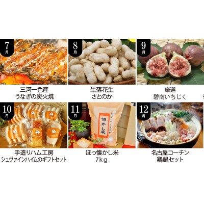 【全12回】厳選!肉・魚・野菜・フルーツすべて詰まった旬の定期便(毎月お届け)H028-088