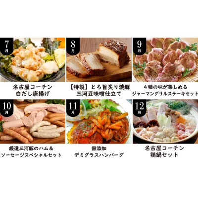 【全12回】厳選!お肉づくめの定期便　H028-091