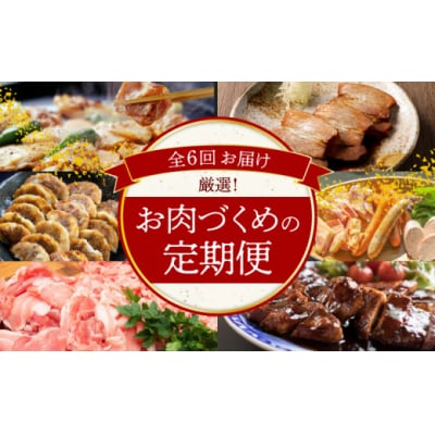 厳選定期便! 【全6回】厳選!お肉づくめの定期便 H028-090