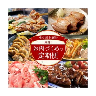 厳選定期便! 【全6回】厳選!お肉づくめの定期便 H028-090