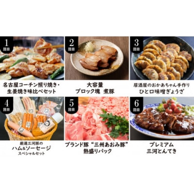 厳選定期便! 【全6回】厳選!お肉づくめの定期便 H028-090