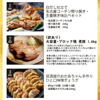 厳選定期便! 【全6回】厳選!お肉づくめの定期便 H028-090