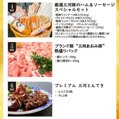 厳選定期便! 【全6回】厳選!お肉づくめの定期便 H028-090