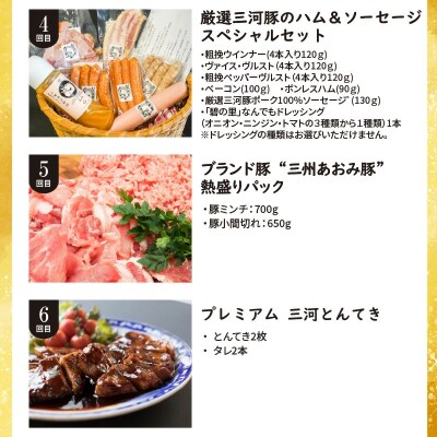 厳選定期便! 【全6回】厳選!お肉づくめの定期便 H028-090