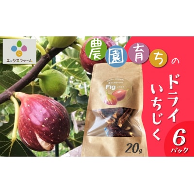 【無添加・砂糖不使用】農家が本気で作ったドライいちじく(20g×6パック)  H164-013