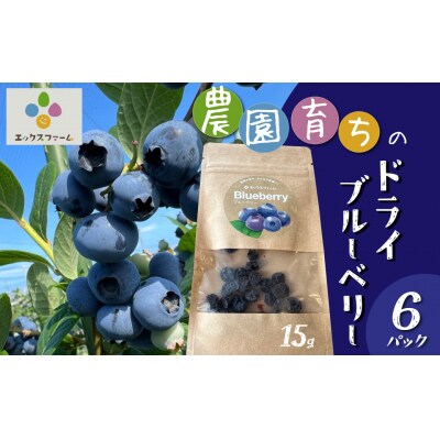 【無添加・砂糖不使用】農家が本気で作ったドライブルーベリー(15g×6パック) H164-014